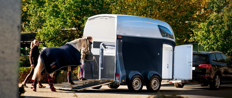 Pferdeanhnger Bckmann Anhnger Bhler_2 (1)